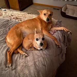 Meet your Posher, Christa